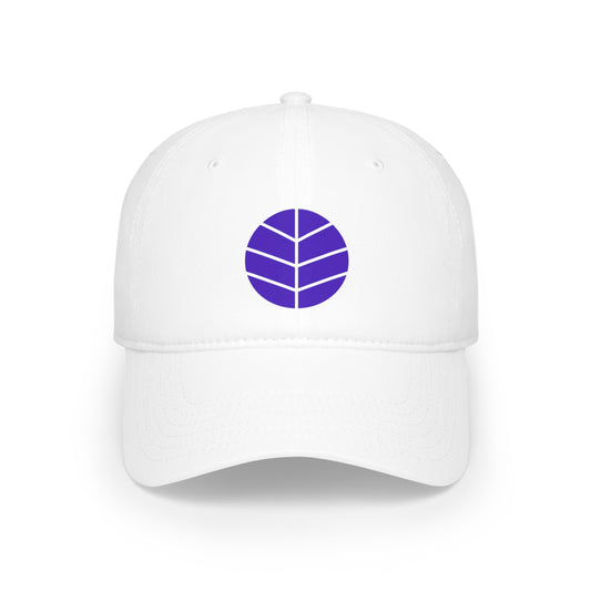 Low Profile Baseball Cap - BEAM *Life* Edition (Purple)